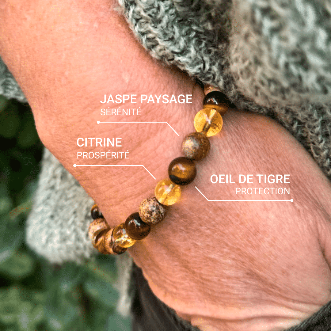 “Protection & Prosperity” Bracelet in Tiger’s Eye, Citrine & Picture Jasper