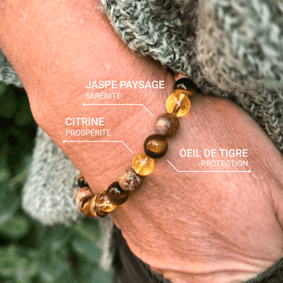“Protection & Prosperity” Bracelet in Tiger’s Eye, Citrine & Picture Jasper